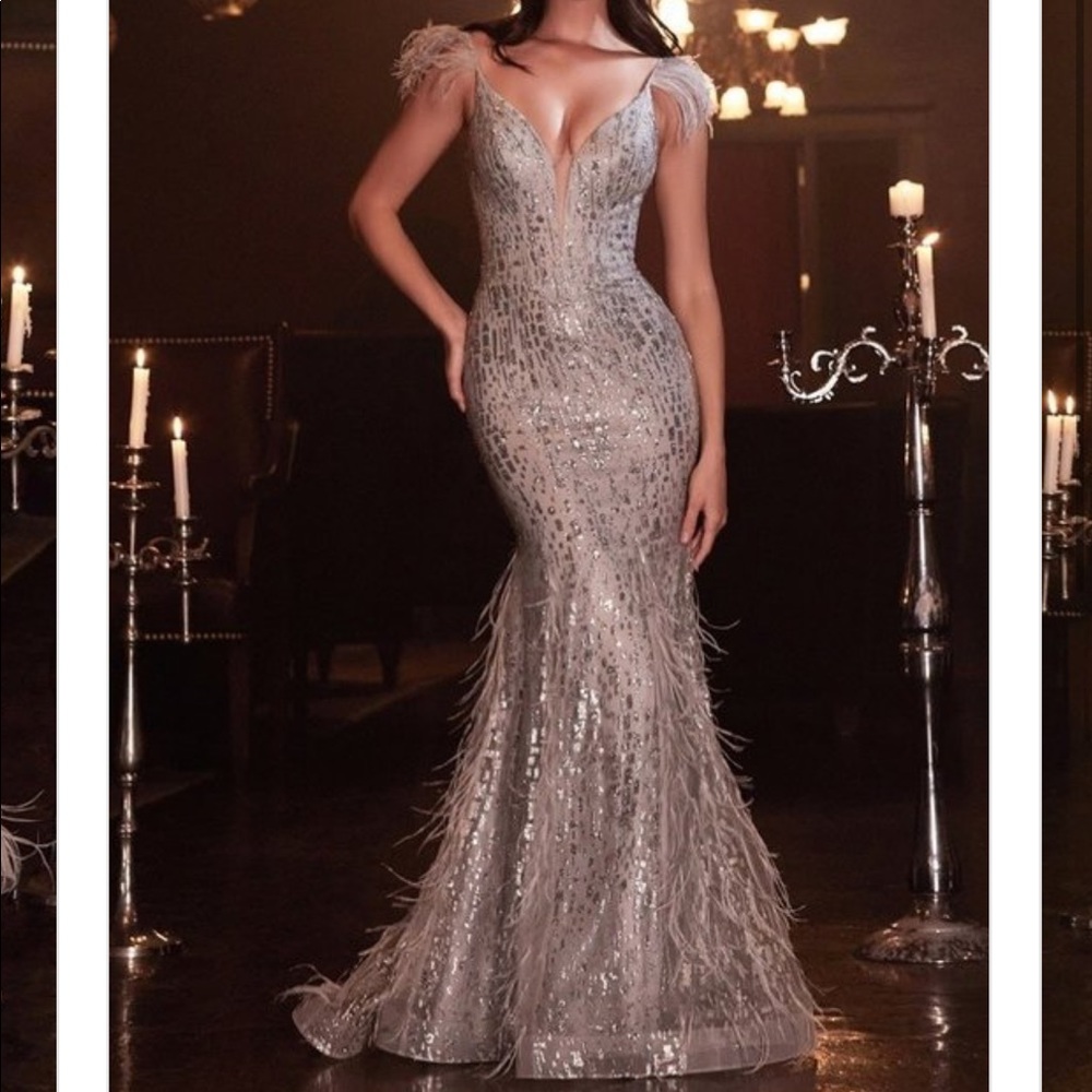 NWT Cinderella Divine Silver Glitter and Feathers Gown  Size 10